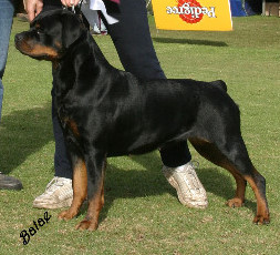 chyna
