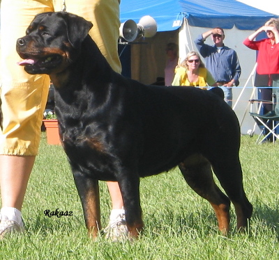 chyna